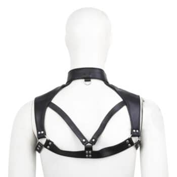 23701-leather_chest_harness_neck_collar_S_M_sex_love_limassol_2