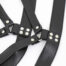 23701-leather_chest_harness_neck_collar_S_M_sex_love_limassol_6
