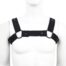 naughty-toys-black-neopren-male-harness-muscle-protector-sl-Lingerie-Cy-1