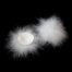 11631-Naughty-Toys-Feather-Round-Nipple-Pasties-White-LingerieCy-1