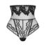 17541-plus-size-obsessive-arienna-translucent-panties-black-Larnaka-sexshop