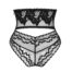 17541-plus-size-obsessive-arienna-translucent-panties-black-Limassol-Love-Shop