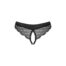 23271-plus-size-obsessive-chemeris-crotchless-panties-black-Limassol-sexshop