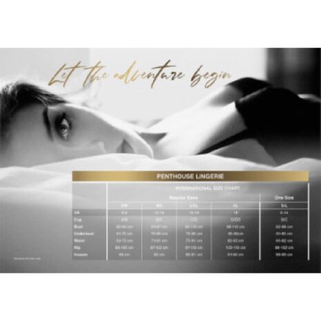 14217-penthouse-sweet_spicy-chemise-red-lxl-loveshop