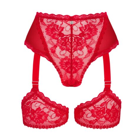 18015-plus-size-obsessive-belovya-sensual-red-garter-panties-Limassol-sexshop