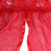 8919-love-me-mesh-chemise-with-lace-string-red-loveshopcy