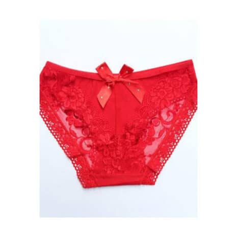 Erotic-Lace-Panty-48265