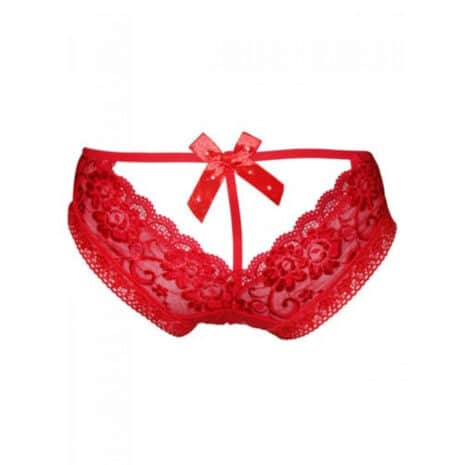 Erotic-Lace-Panty-48266