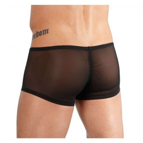 Transparent-Mens-Pants-50787