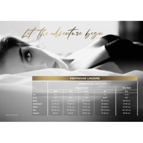 penthouse-hotter-than-hell-black-teddy-and-stockings-sexshop-cyprus