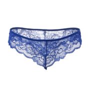 8921-plus-size-sophisticated-mesh-chemise-with-string-blue-loveshop-cy