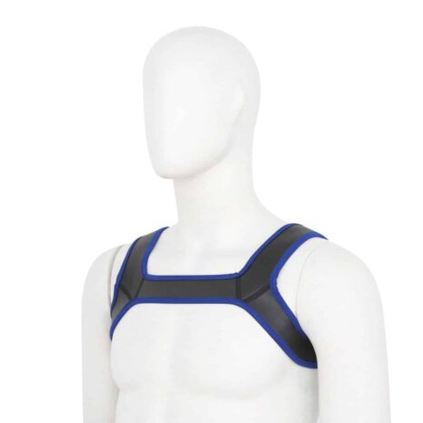 naughty-toys-neoprene-harness-blue-sexshop-Nicosia