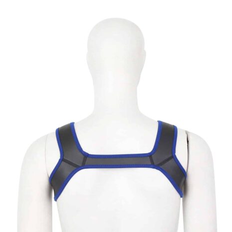 naughty-toys-neoprene-harness-blue-sexshopcy