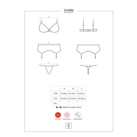 12641-obsessive-lividia-red-set-Limassol-sexshop