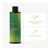 BODYGLISS-8785276067521-bodygliss-massage-oil-lubricant-minty-mojito-150ml-sex-shop-limassol