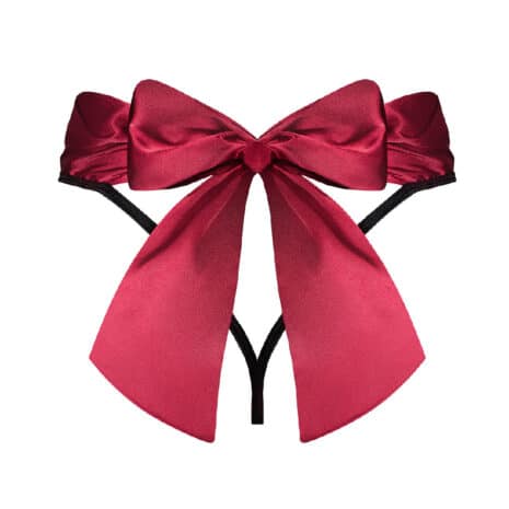 15495-Obsessive-Alluring-Tienesy-Thong-sexshop-larnaka