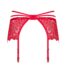 15657-Obsessive-Plus-Size-Charming-Loventy-Garter-Belt-sexshop-nicosia