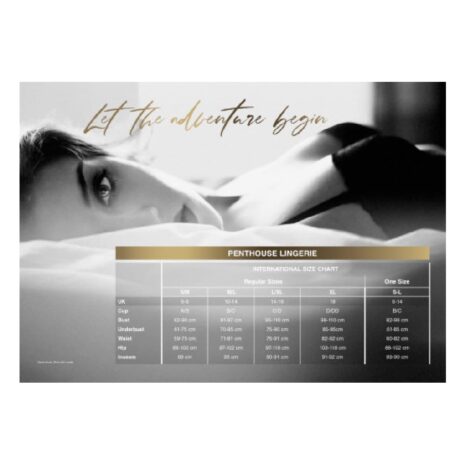 17233-penthouse-too-hot-to-be-real-knickers-wine-loveshop-cy