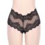 Sexy-High-Waist-Retro-Panty-Black-93595