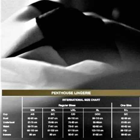 17175-penthouse-cautious-cat-black-sexy-mini-dress-xl-sex-shop-cyprus