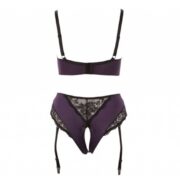 Plus-Size-Purple-Lingerie-Set-50290