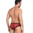 11001-floral-lace-briefs-red-loveshop-cy