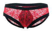 99045-Floral-Lace-Briefs-Red-sex-shop-limassol