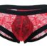99045-Floral-Lace-Briefs-Red-sex-shop-limassol