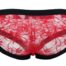99047-Floral-Lace-Briefs-Red-limassol-sex-shop