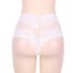Delicate-High-Waist-Retro-Knickers-White-93621