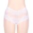 Delicate-High-Waist-Retro-Knickers-White-93623