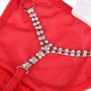 EK-P5218-2-RED-G-STRING-DIAMOND-red-g-string-diamond-back-sex-shop-germasogia